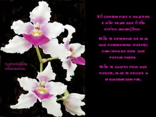 Só contemples o objetivo e não vejas que é tão difícil alcançá-lo.  Não te detenhas no mal que porventura  fizeste; caminha no bem que possas fazer.  Não te culpes pelo que fizeste, mas te decide a melhorar sempre. 