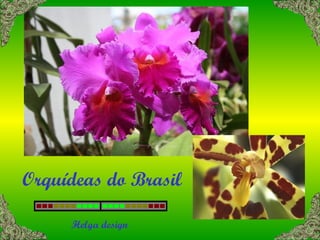 Orquídeas do Brasil Helga design 