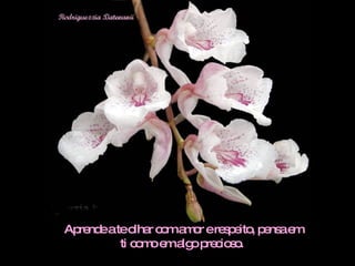 Aprende a te olhar com amor e respeito, pensa em ti como em algo precioso.  