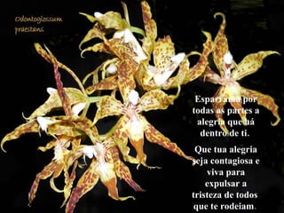 Esparrama por todas as partes a alegria que há dentro de ti.  Que tua alegria seja contagiosa e viva para expulsar a tristeza de todos  que te rodeiam .   