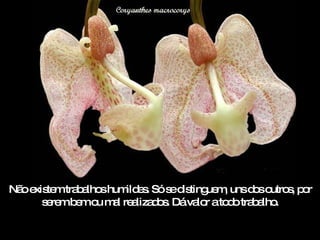 Não existem trabalhos humildes. Só se distinguem, uns dos outros, por serem bem ou mal realizados. Dá valor a todo trabalho. 