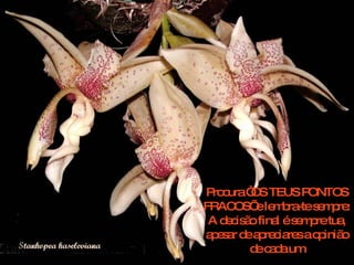 Procura “OS TEUS PONTOS FRACOS’ e lembra-te sempre: A decisão final é sempre tua, apesar de apreciares a opinião de cada um 