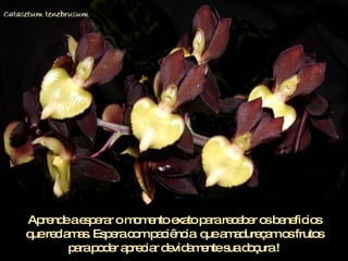 Aprende a esperar o momento exato para receber os beneficios que reclamas. Espera com paciência  que amadureçam os frutos para poder apreciar devidamente sua doçura ! 