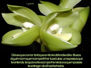 Deixa que o amor te toque e não te defendas dele. Busca  alguém com quem compartilhar tuas lutas; uma pessoa que te entenda, te apoie e te acompanhe nelas e a quem possas te entregar de olhos fechados.  