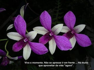 Viva o momento. Não se apresse ir em frente ... Há muito
           que aproveitar da vida "agora".
 