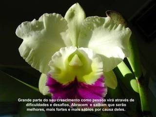 Grande parte do seu crescimento como pessoa virá através de
    dificuldades e desafios. Abracem e saibam que serão
    melhores, mais fortes e mais sábios por causa deles.
 