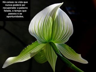 Há coisas na vida que
  nunca poderá ser
recuperada: a palavra
 falada, o tempo que
     passou e as
    oportunidades.
 