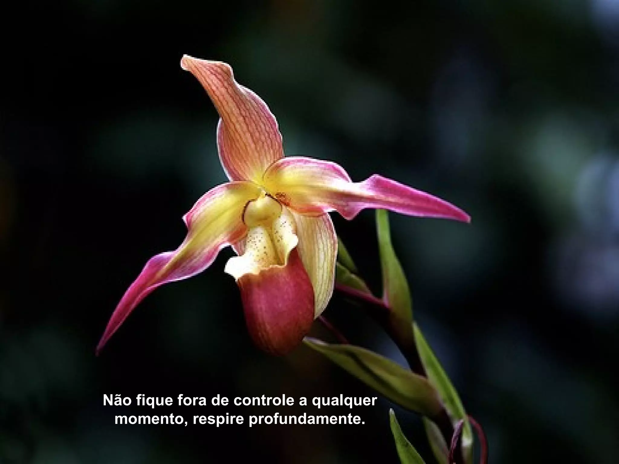 Não fique fora de controle a qualquer
 momento, respire profundamente.
 