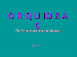 O R Q U ID E A
      S
     Music: Autumn
     Rose
 
