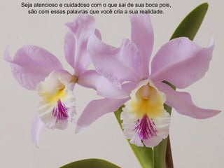 Seja atencioso e cuidadoso com o que sai de sua boca pois,
  são com essas palavras que você cria a sua realidade.
 