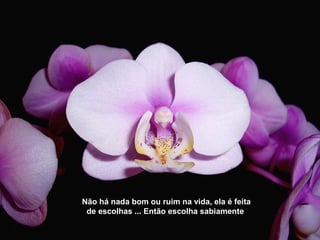 Não há nada bom ou ruim na vida, ela é feita
de escolhas ... Então escolha sabiamente
 