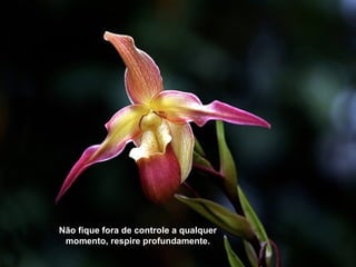 Não fique fora de controle a qualquer
momento, respire profundamente.
 