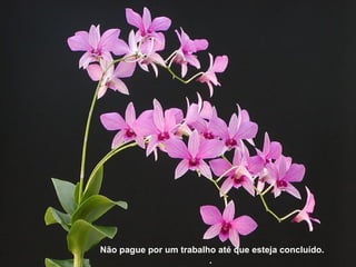 Não pague por um trabalho até que esteja concluído.
.
 