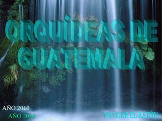 ORQUÍDEAS DE GUATEMALA NO USAR EL RATÓN AÑO 2010 