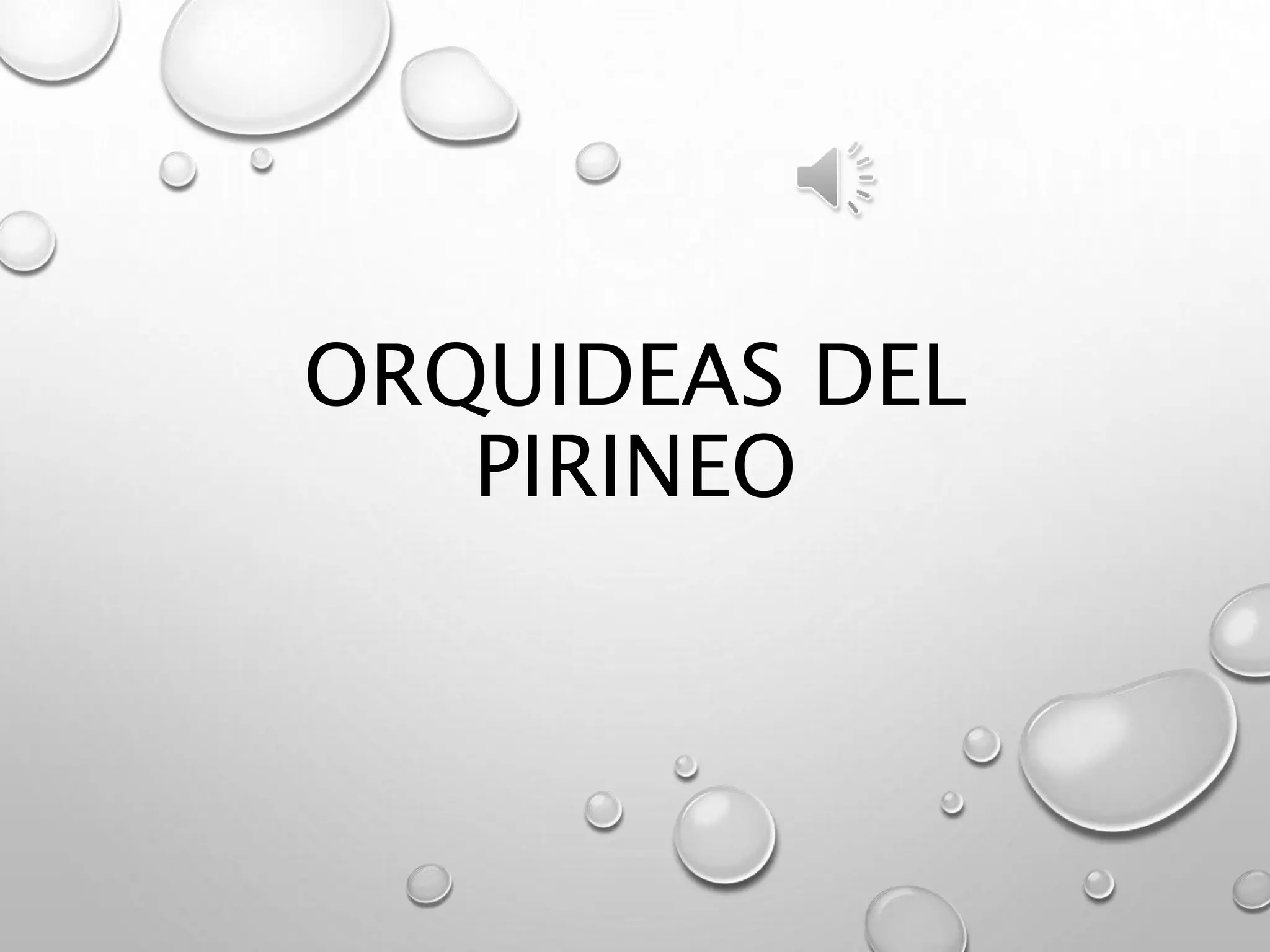 ORQUIDEAS DEL
PIRINEO
