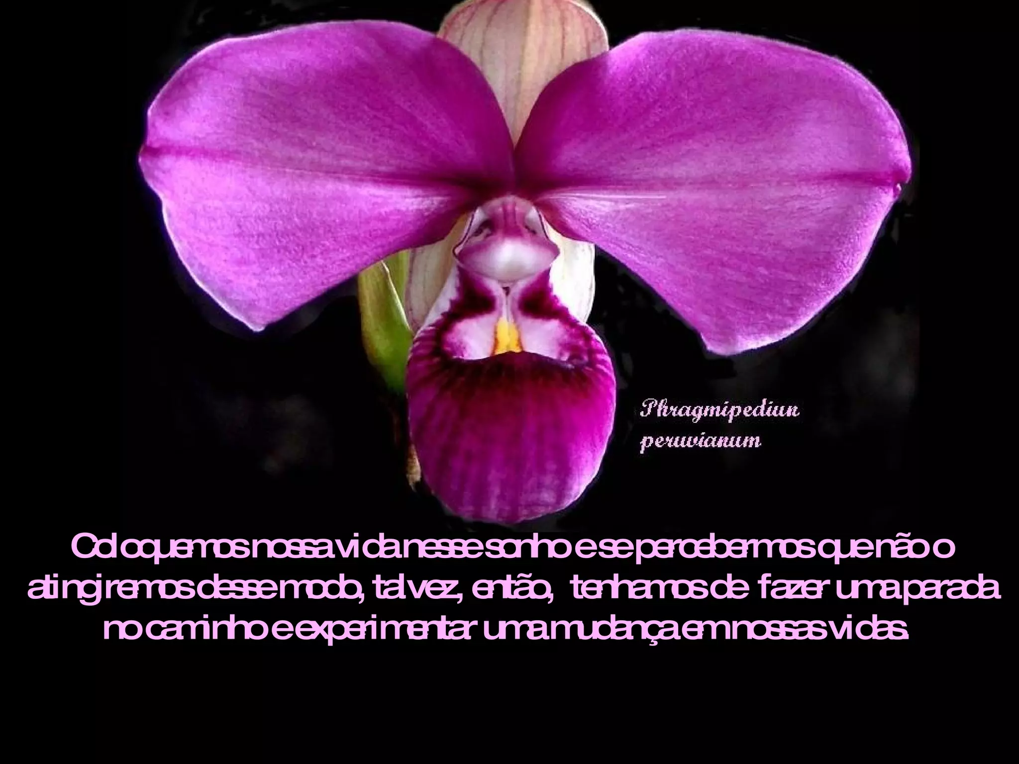 Coloquemos nossa vida nesse sonho e se percebermos que não o atingiremos desse modo, talvez, então,  tenhamos de  fazer uma parada no caminho e experimentar uma mudança em nossas vidas.  