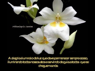 A alegria é um raio de luz que deve permanecer sempre aceso, iluminando todos nossos atos e servindo de guía a todos  que se cheguem a nós 