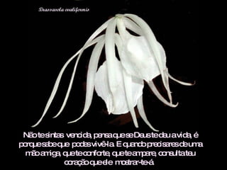 Não te sintas  vencida, pensa que se Deus te deu a vida, é porque sabe que  podes vivê-la. E quando precisares de uma mão amiga, que te conforte, que te ampare, consulta teu coração que ele  mostrar-te-á.  