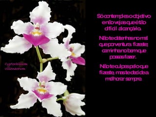 Só contemples o objetivo e não vejas que é tão difícil alcançá-lo.  Não te detenhas no mal que porventura  fizeste; caminha no bem que possas fazer.  Não te culpes pelo que fizeste, mas te decide a melhorar sempre. 