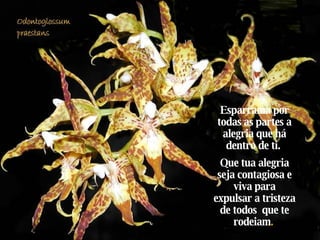 Esparrama por todas as partes a alegria que há dentro de ti.  Que tua alegria seja contagiosa e viva para expulsar a tristeza de todos  que te rodeiam .   