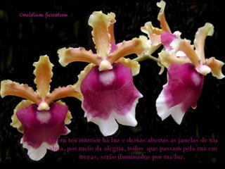 Se em teu interior há luz e deixas abertas as janelas de tua alma, por meio da alegria, todos  que passam pela rua em trevas, serão iluminados por tua luz.  