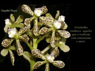 O trabalho enobrece  aqueles que o realizam com entusiasmo e amor .  