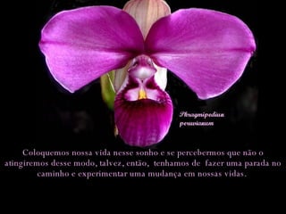 Coloquemos nossa vida nesse sonho e se percebermos que não o atingiremos desse modo, talvez, então,  tenhamos de  fazer uma parada no caminho e experimentar uma mudança em nossas vidas.  