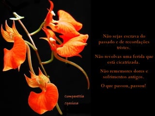 Não sejas escrava do passado e de recordações tristes.  Não revolvas uma ferida que está cicatrizada.  Não rememores dores e sofrimentos antigos.  O que passou, passou!  