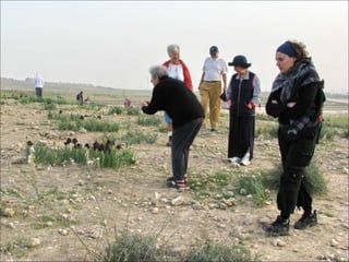Orquideas en el negew