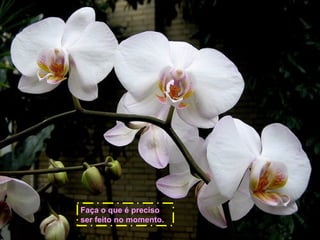 Faça o que é preciso
ser feito no momento.

 