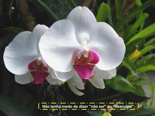 Não tenha medo de dizer "não sei" ou “desculpe".

 