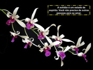 A solidão é um estado de
espírito. Você não precisa de outras
pessoas para se amar.

 