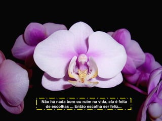 Não há nada bom ou ruim na vida, ela é feita
de escolhas ... Então escolha ser feliz...

 