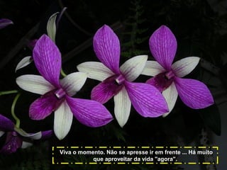 Viva o momento. Não se apresse ir em frente ... Há muito
que aproveitar da vida "agora".

 