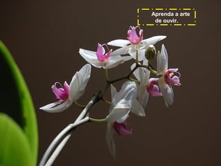 Aprenda a arte
de ouvir.

 