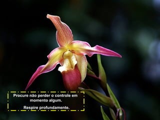 Procure não perder o controle em
momento algum.
Respire profundamente.

 