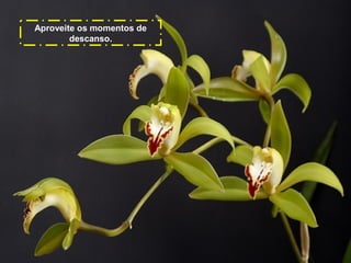 Aproveite os momentos de
descanso.

 