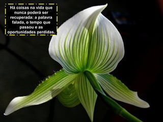 Há coisas na vida que
nunca poderá ser
recuperada: a palavra
falada, o tempo que
passou e as
oportunidades perdidas.

 