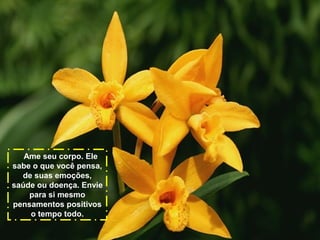 Ame seu corpo. Ele
sabe o que você pensa,
de suas emoções,
saúde ou doença. Envie
para si mesmo
pensamentos positivos
o tempo todo.

 
