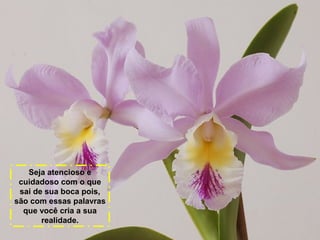 Seja atencioso e
cuidadoso com o que
sai de sua boca pois,
são com essas palavras
que você cria a sua
realidade.

 