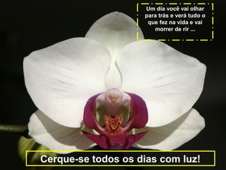 Um dia você vai olhar
para trás e verá tudo o
que fez na vida e vai
morrer de rir ...

Cerque-se todos os dias com luz!

 