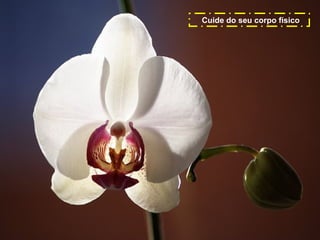 Cuide do seu corpo físico

 