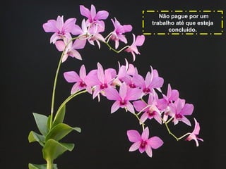 Não pague por um
trabalho até que esteja
concluído.

 