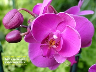 Não espere que
a vida seja justa.

 