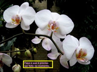 Faça o que é preciso
ser feito no momento.
 