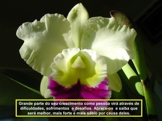 Grande parte do seu crescimento como pessoa virá através de
dificuldades, sofrimentos e desafios. Abrace-os e saiba que
será melhor, mais forte e mais sábio por causa deles.
 