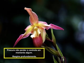 Procure não perder o controle em
momento algum.
Respire profundamente.
 