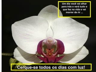 Um dia você vai olhar
para trás e verá tudo o
que fez na vida e vai
morrer de rir ...
Cerque-se todos os dias com luz!
 