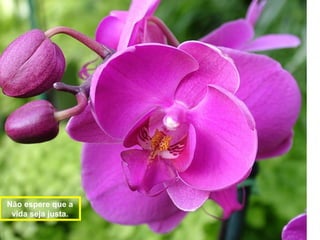 Não espere que a
vida seja justa.
 