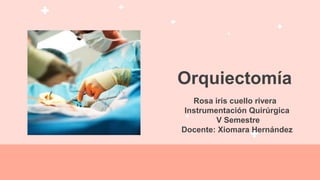 Orquiectomía
Rosa iris cuello rivera
Instrumentación Quirúrgica
V Semestre
Docente: Xiomara Hernández
 